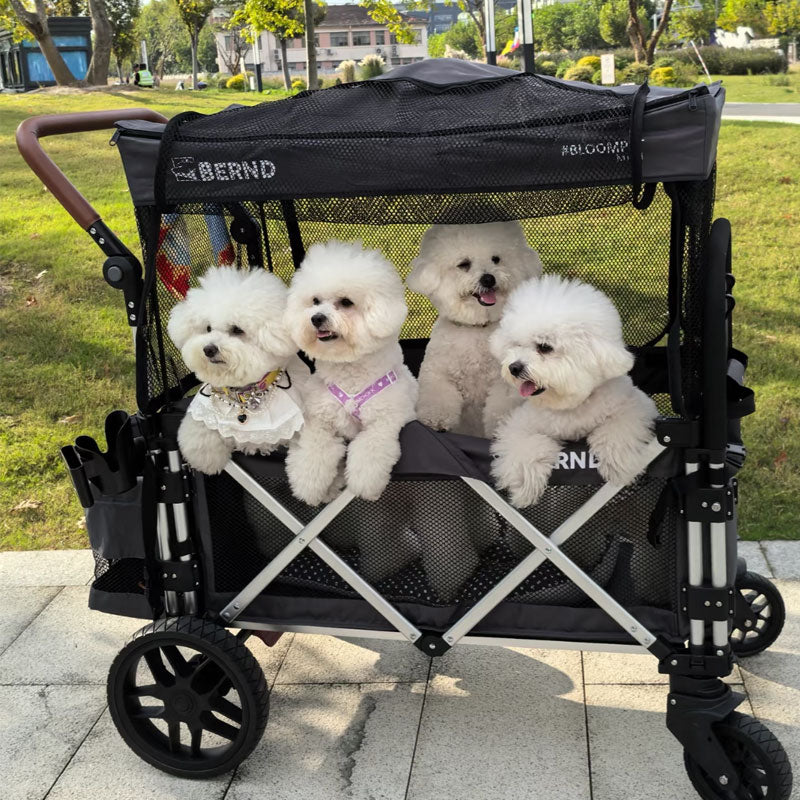 Outdoor Foldable Large Dog Stroller