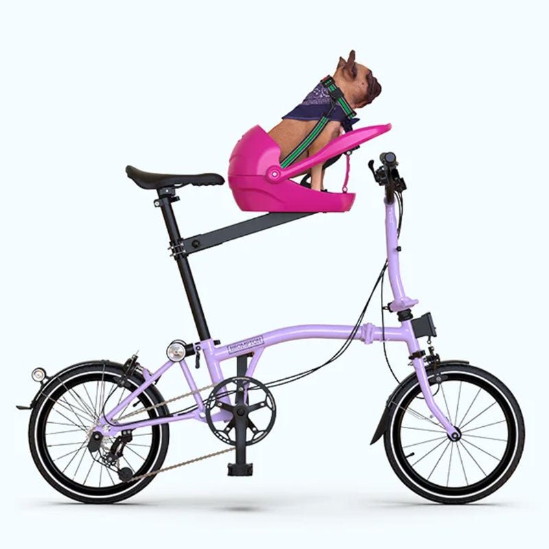 Pitaya Pink Dog Bicycle Seat