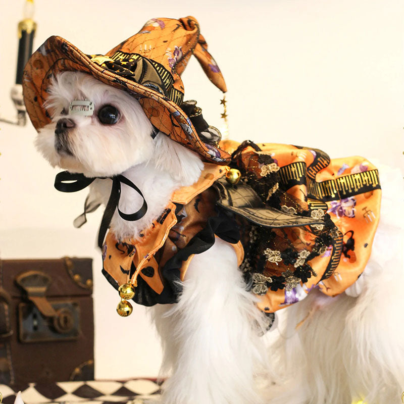 Pumpkin Curse Halloween Dog Costume Dress