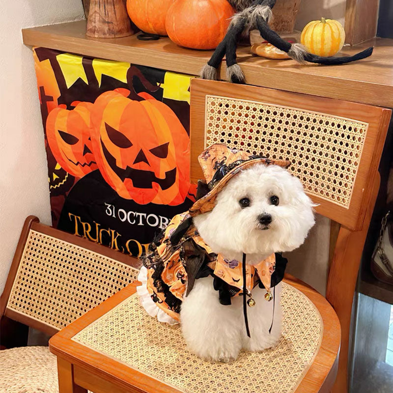 Pumpkin Curse Halloween Dog Costume Dress