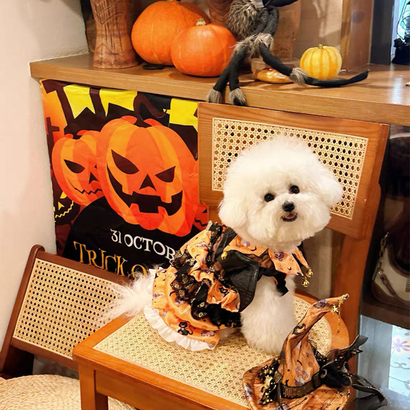 Pumpkin Curse Halloween Dog Costume Dress