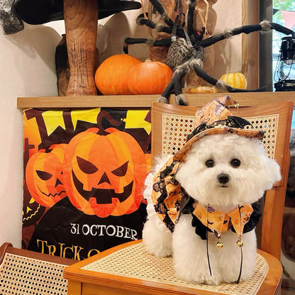 Pumpkin Curse Halloween Dog Costume Dress