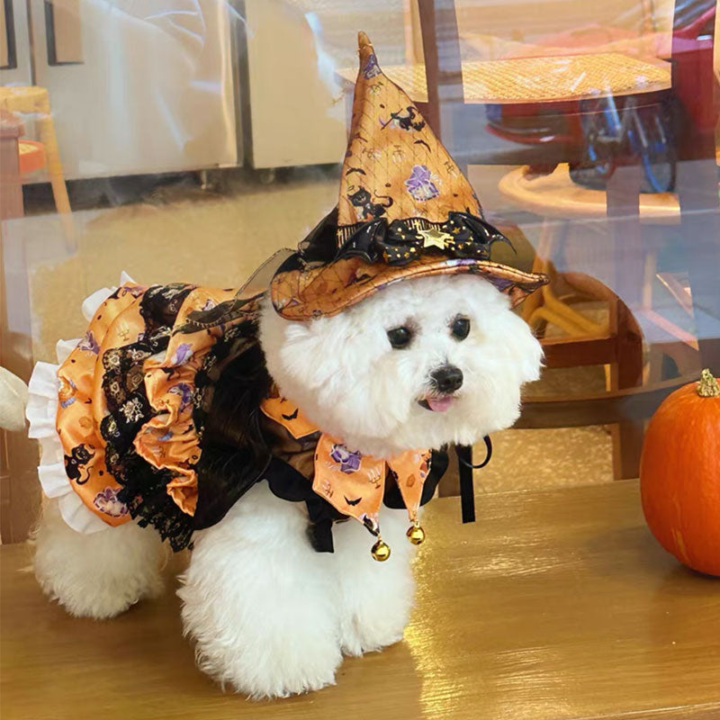 Pumpkin Curse Halloween Dog Costume Dress