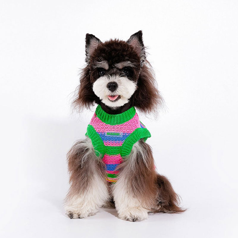 Rainbow Knit Dog Sweater Vest