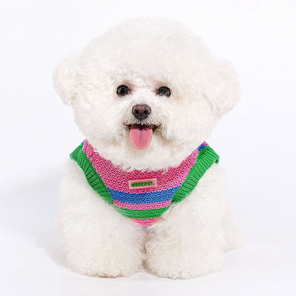 Rainbow Knit Dog Sweater Vest