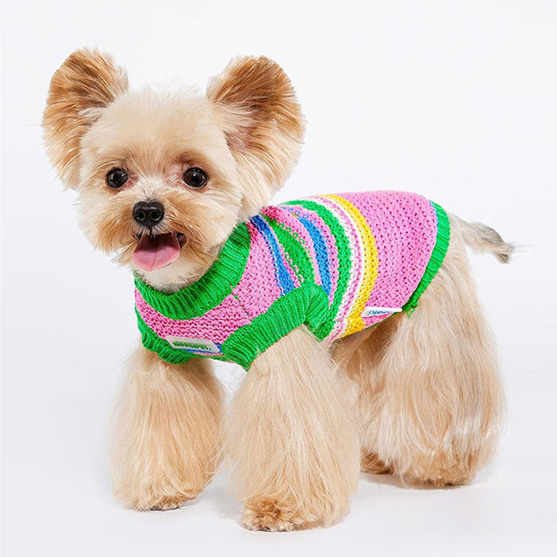 Rainbow Knit Dog Sweater Vest