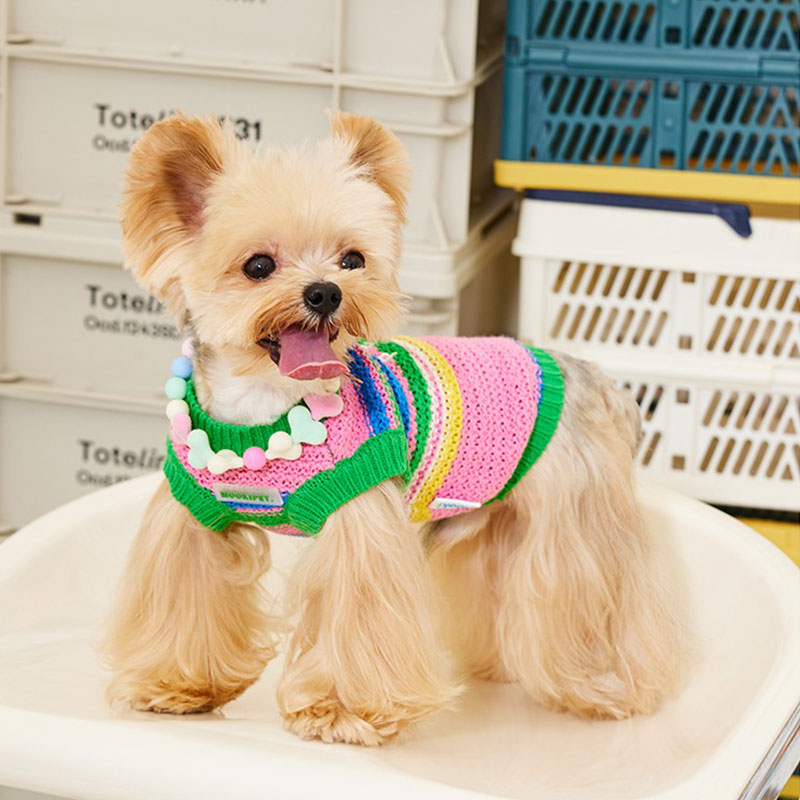 Rainbow Knit Dog Sweater Vest