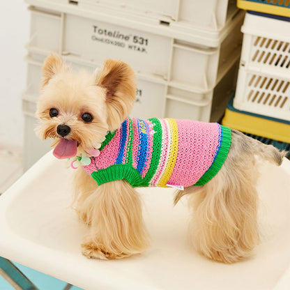 Rainbow Knit Dog Sweater Vest