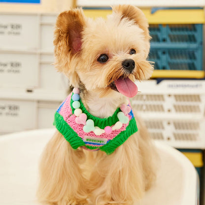 Rainbow Knit Dog Sweater Vest