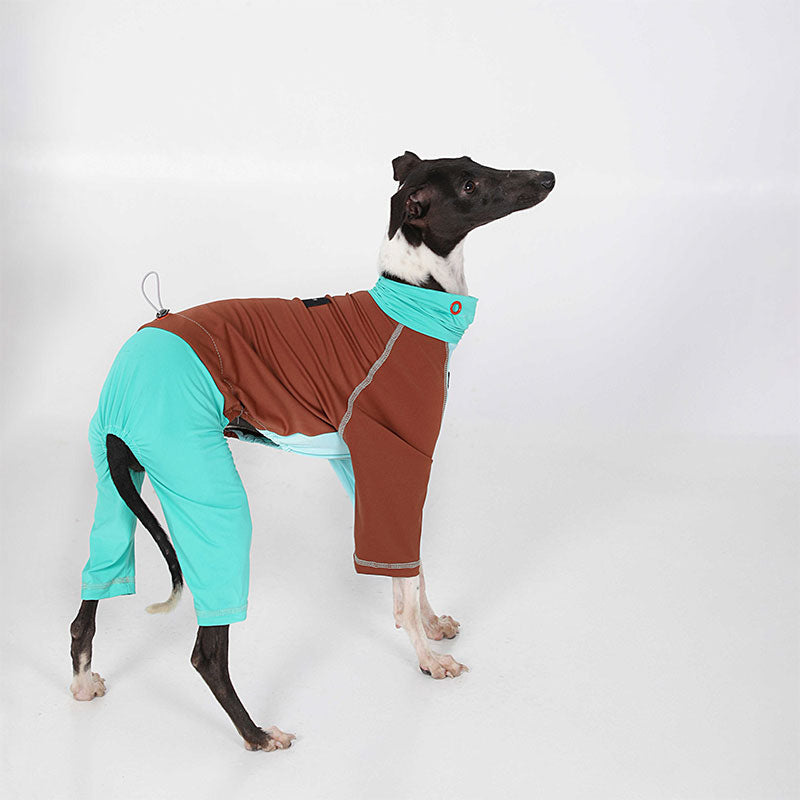 Stylish Color Blocking Breathable Dog Pajamas