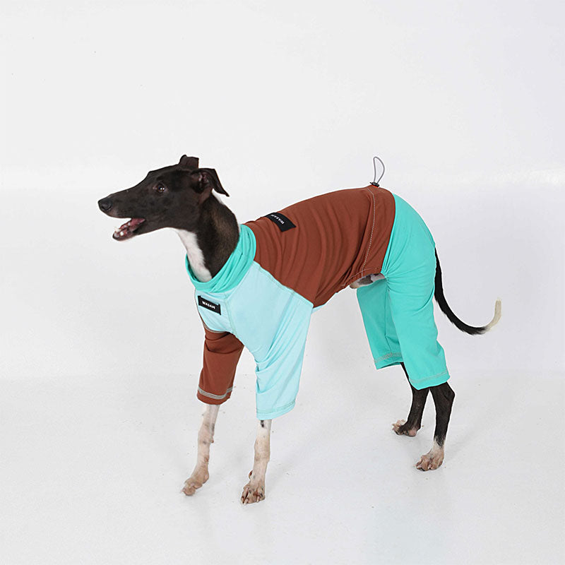 Stylish Color Blocking Breathable Dog Pajamas