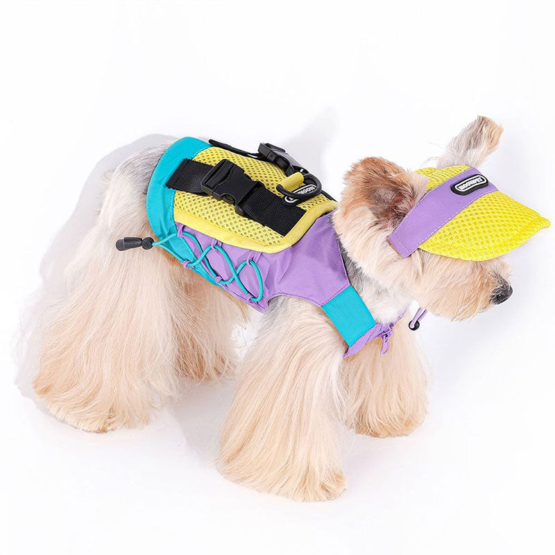 Summer Camp Dog Breathable Vest