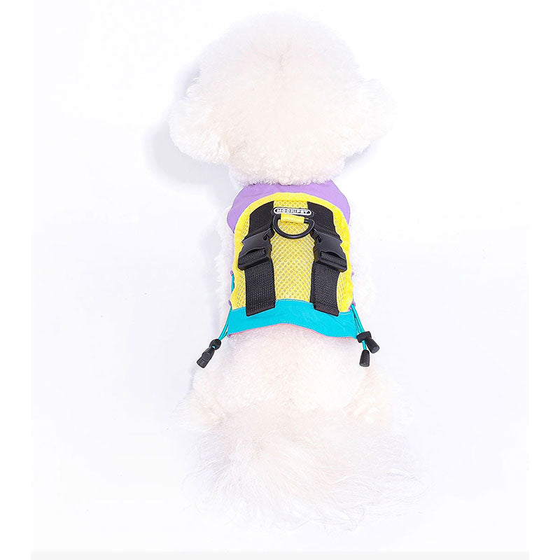 Summer Camp Dog Breathable Vest