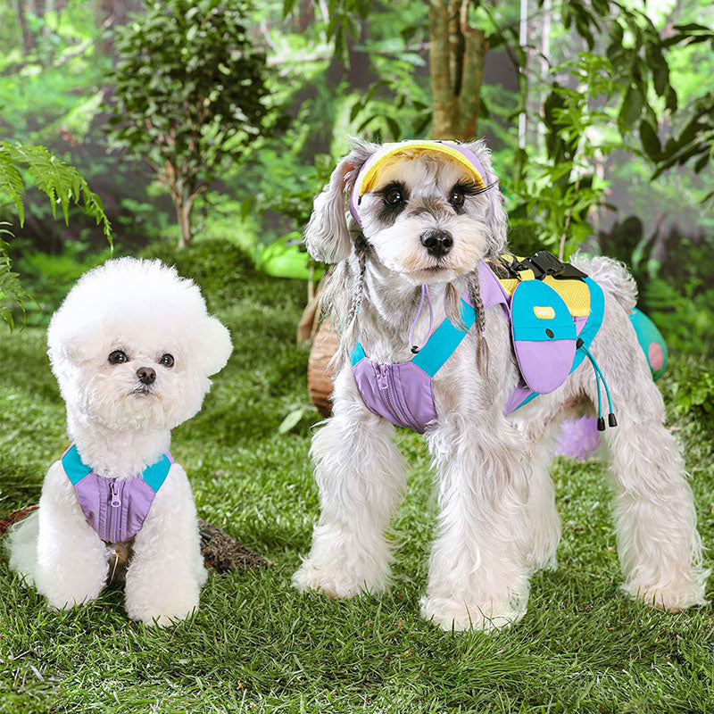 Summer Camp Dog Breathable Vest