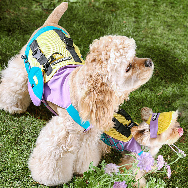 Summer Camp Dog Breathable Vest