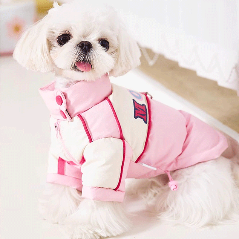 Sweetheart Biker Puppy Down Coat