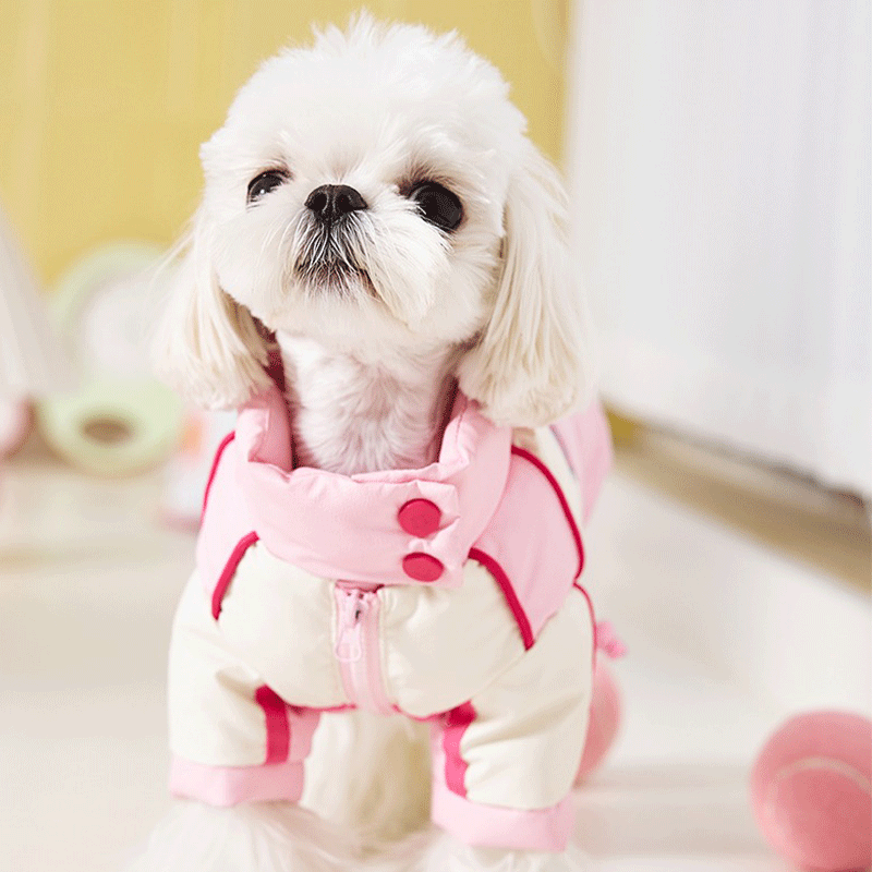 Sweetheart Biker Puppy Down Coat