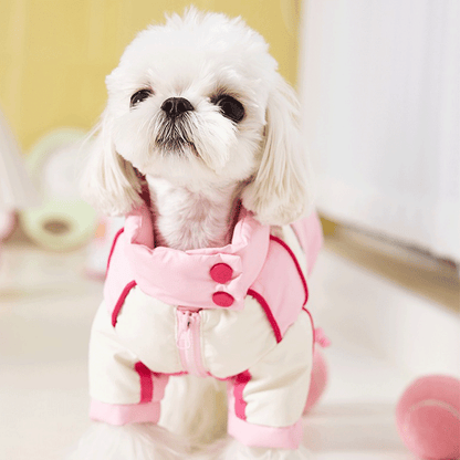 Sweetheart Biker Puppy Down Coat