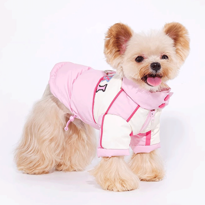 Sweetheart Biker Puppy Down Coat