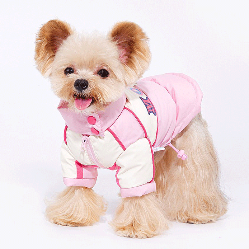 Sweetheart Biker Puppy Down Coat