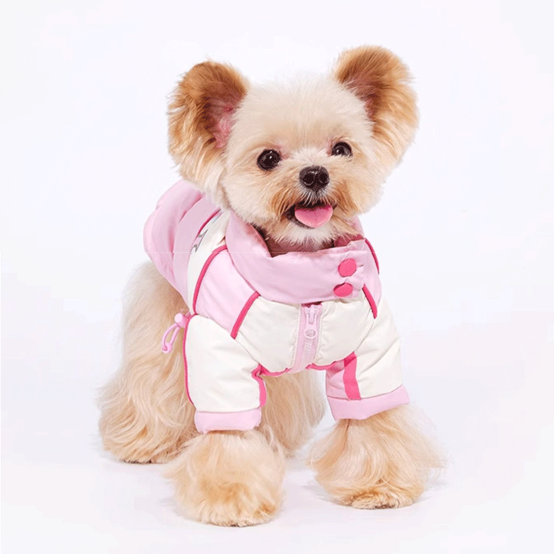 Sweetheart Biker Puppy Down Coat