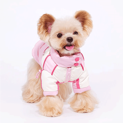 Sweetheart Biker Puppy Down Coat