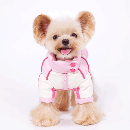 Sweetheart Biker Puppy Down Coat