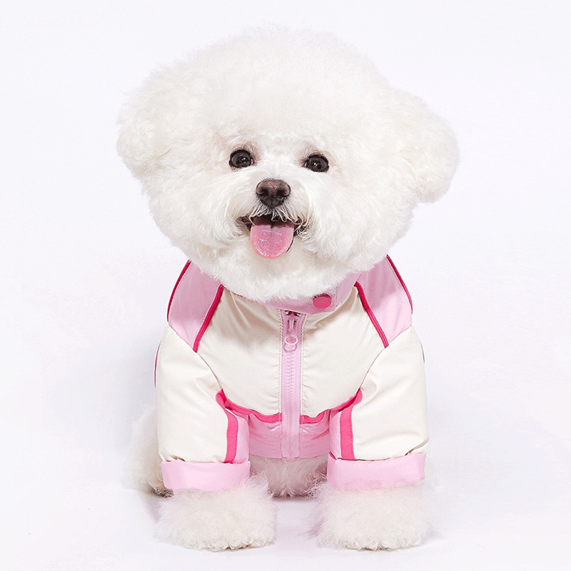 Sweetheart Biker Puppy Down Coat