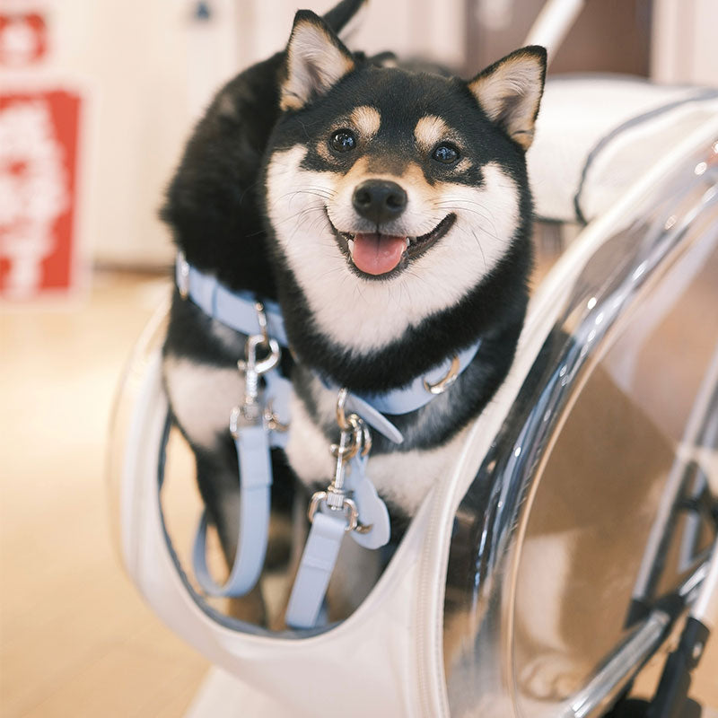 Transparent detachable dog stroller