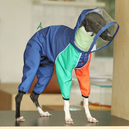 Vibrant Colorblocking Dog Raincoat Waterproof