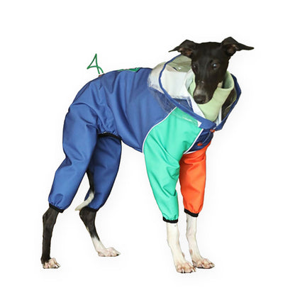 Vibrant Colorblocking Dog Raincoat Waterproof