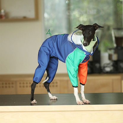 Vibrant Colorblocking Dog Raincoat Waterproof