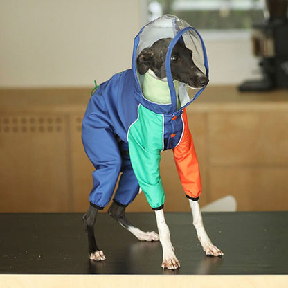 Vibrant Colorblocking Dog Raincoat Waterproof