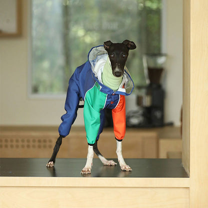 Vibrant Colorblocking Dog Raincoat Waterproof