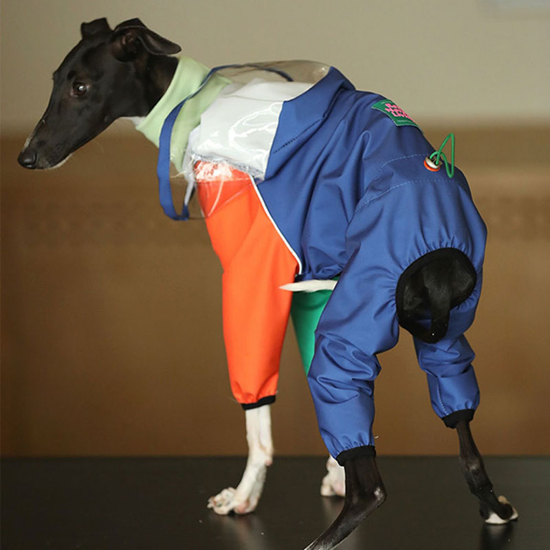 Vibrant Colorblocking Dog Raincoat Waterproof