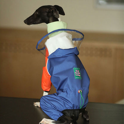 Vibrant Colorblocking Dog Raincoat Waterproof